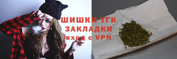дживик Абинск