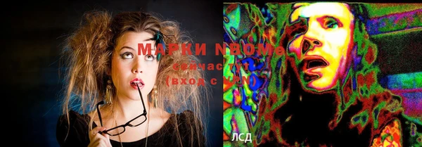 дживик Абинск